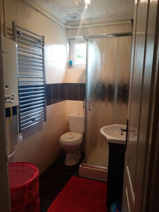 Apartmán D38 Pestelizabeth Apartman Budapešť Exteriér fotografie