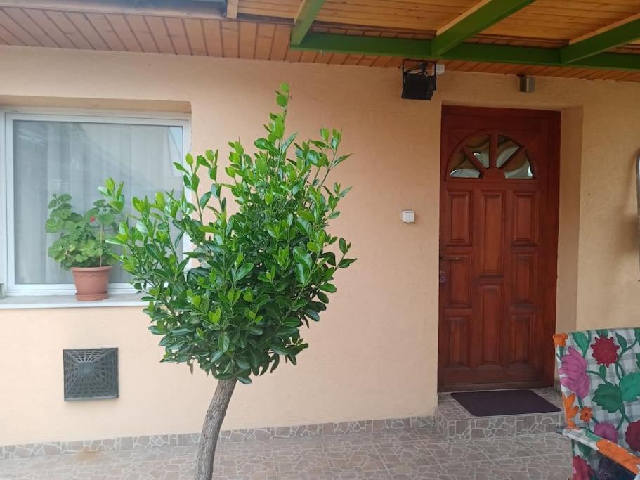 Apartmán D38 Pestelizabeth Apartman Budapešť Exteriér fotografie
